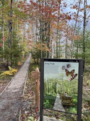 Jesup Path and Hemlock Path Loop