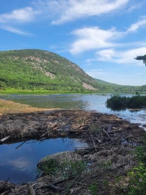 Jesup Path and Hemlock Path Loop
