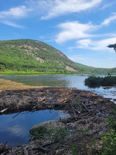 Jesup Path and Hemlock Path Loop