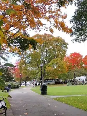Village Green