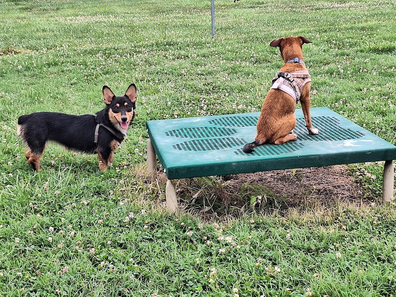 Barboursville Dog Park - Barboursville, WV
