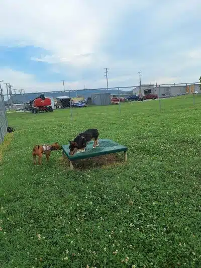 Barboursville Dog Park - Barboursville, WV