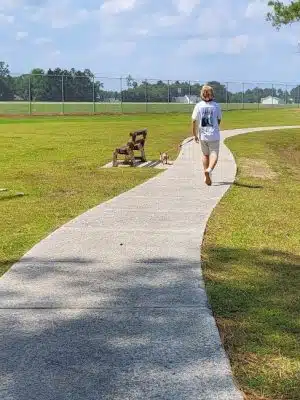 Maple Park & Maple Dog Park - Barco, NC