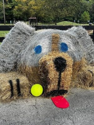 Bourbon City Bark Park