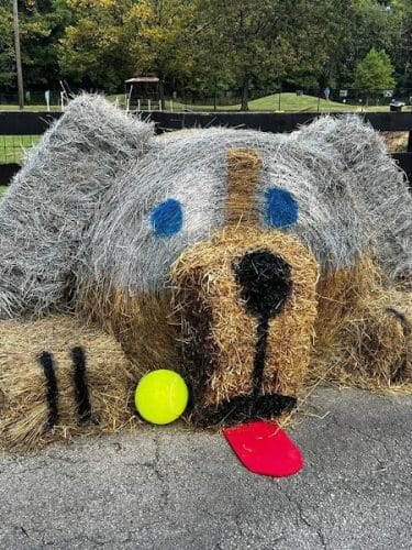 Bourbon City Bark Park - Bardstown, KY
