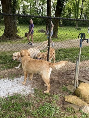 Bourbon City Bark Park