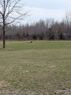 Riley's Run Dog Park