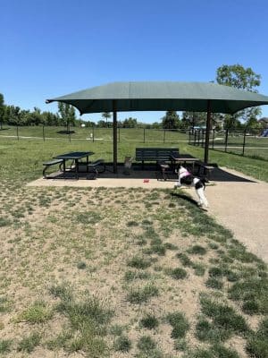 Riley's Run Dog Park