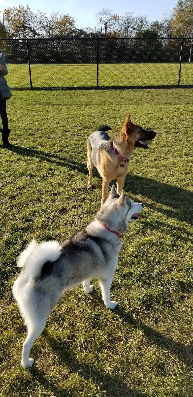 Riley's Run Dog Park - Bartlett, IL