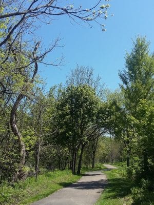Riley's Run Dog Park