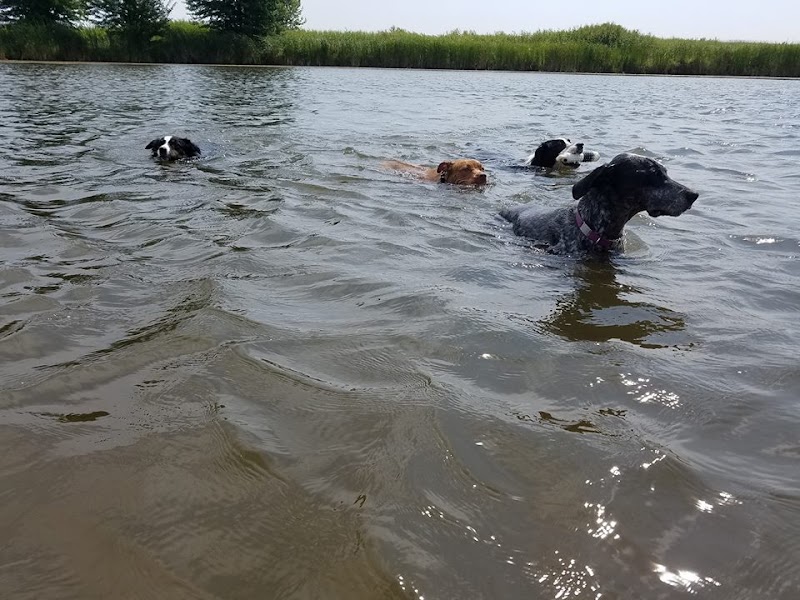 West Main Community and Bark Park - Batavia, IL