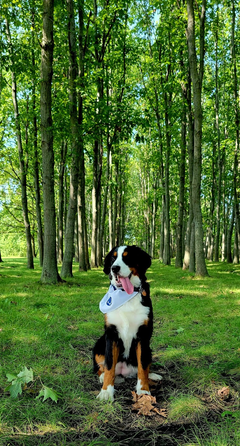 West Main Community and Bark Park - Batavia, IL