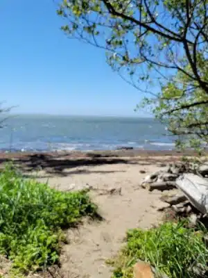 Bush Pioneer Park