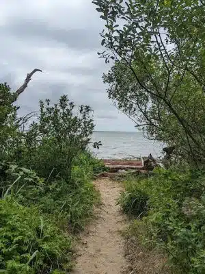 Bush Pioneer Park