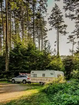 Bush Pioneer Park