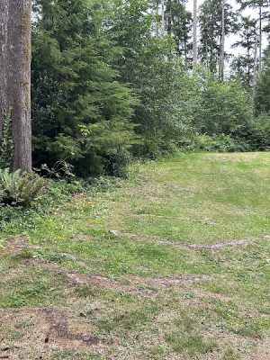 Bush Pioneer Park
