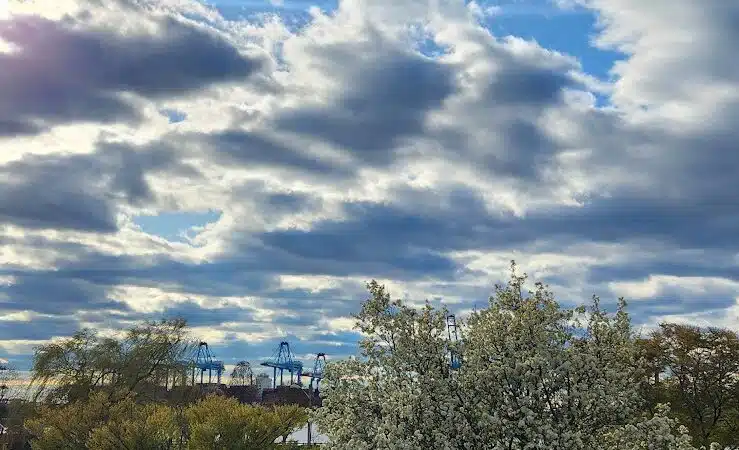 G. Thomas DiDomenico 16th Street Park - Bayonne, NJ