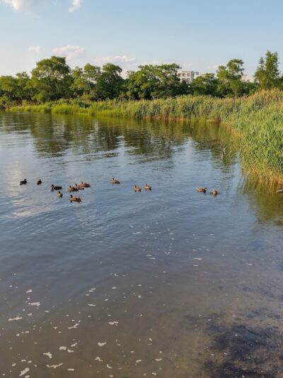 Richard A. Rutkowski Park - Bayonne, NJ