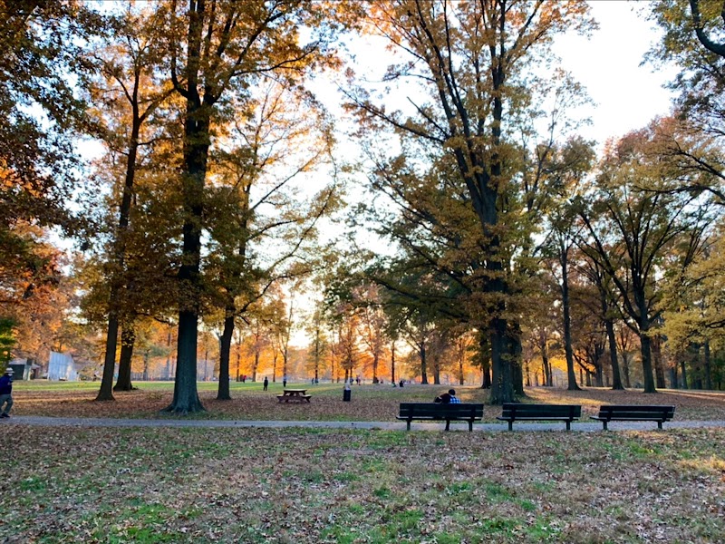 Springfield Playground - Bayside, NY