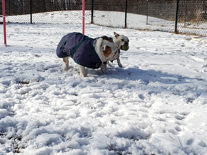 Friends of Beacon Dog Park - Beacon, NY