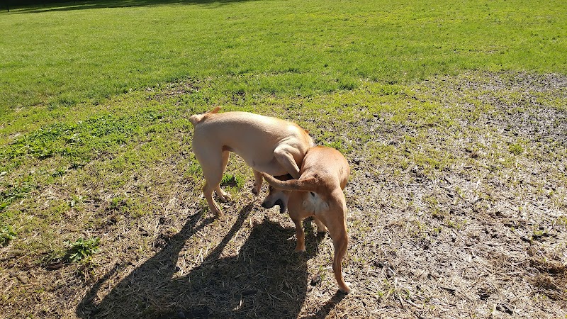 Friends of Beacon Dog Park - Beacon, NY