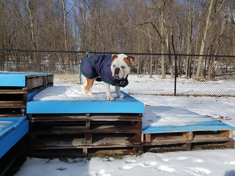 Friends of Beacon Dog Park - Beacon, NY