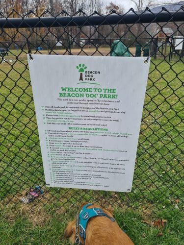 Friends of Beacon Dog Park - Beacon, NY