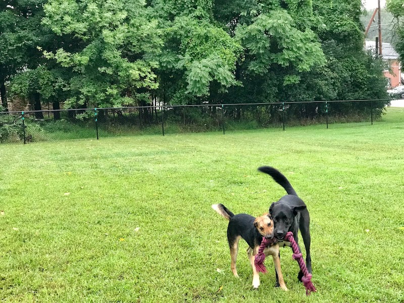 Friends of Beacon Dog Park - Beacon, NY