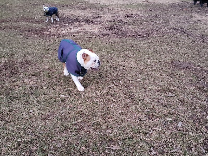 Friends of Beacon Dog Park - Beacon, NY