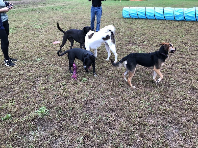 Friends of Beacon Dog Park - Beacon, NY