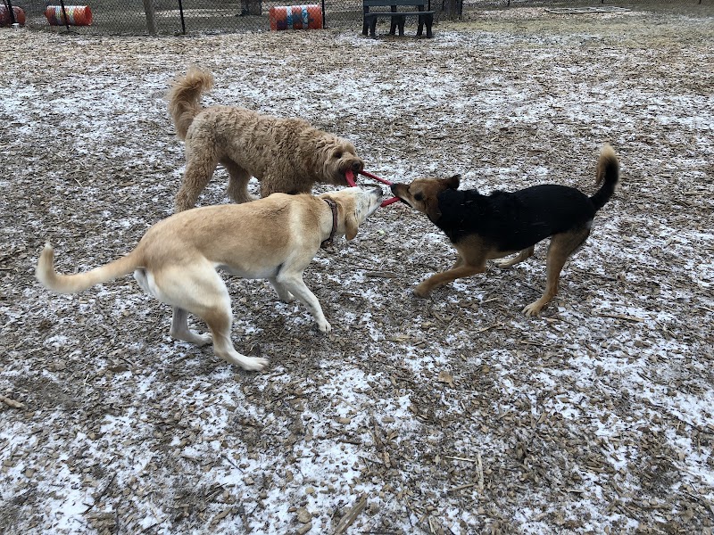 Friends of Beacon Dog Park - Beacon, NY
