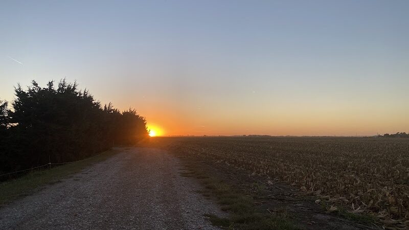 Triple E Equine - Beaver Crossing, NE