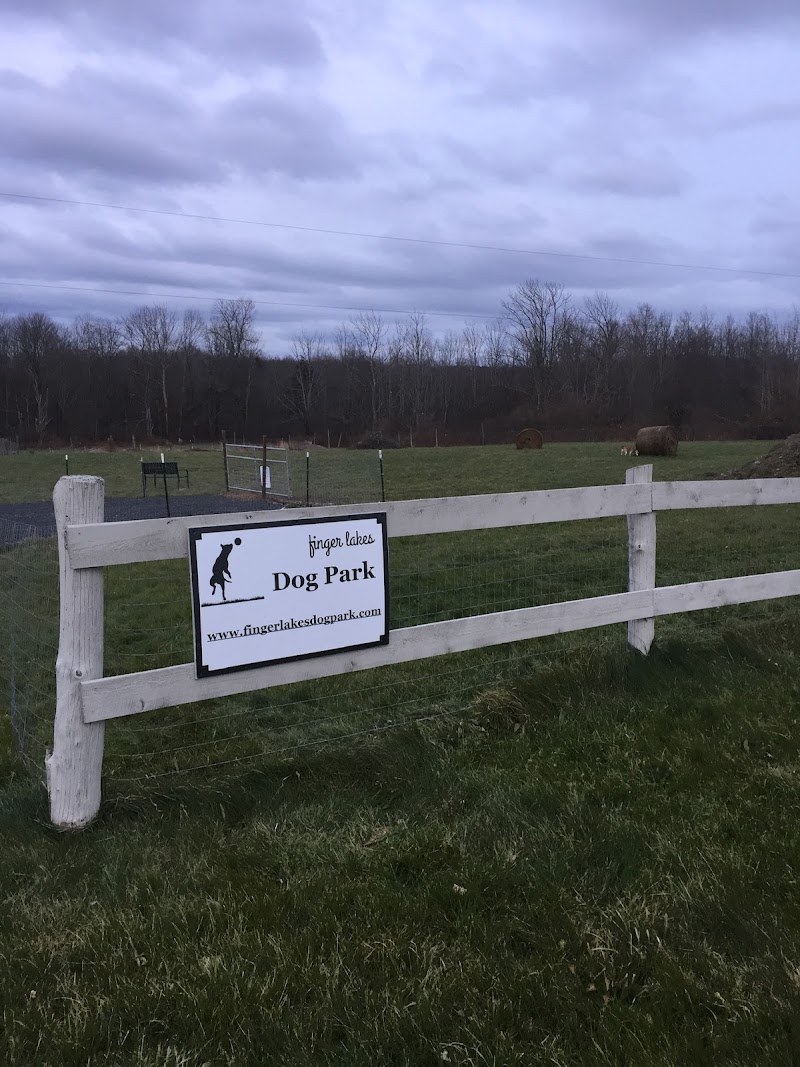 Finger Lakes Dog Park - Beaver Dams, NY