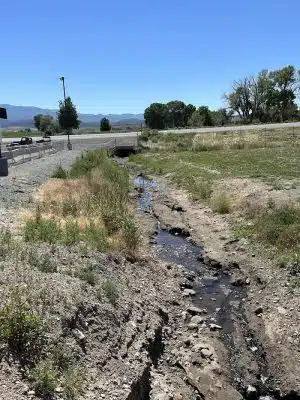 Beaver Dog Park
