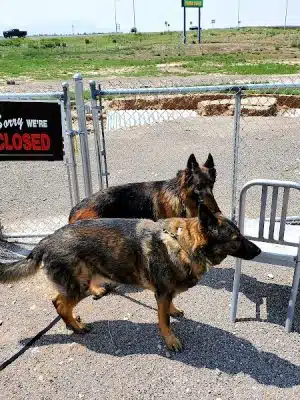 Beaver Dog Park