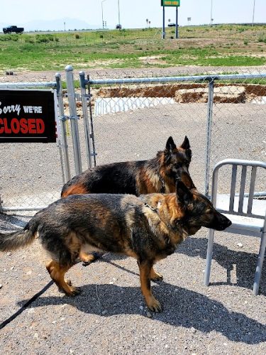 Beaver Dog Park