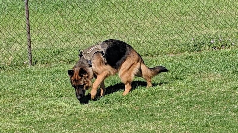 Bedford Bark Park - Bedford, TX