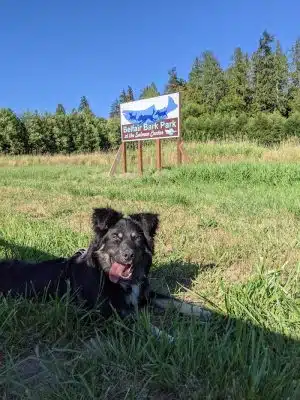 Belfair Bark Park
