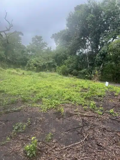 Woodlands Conservancy’s Woodlands Trail - Belle Chasse, LA