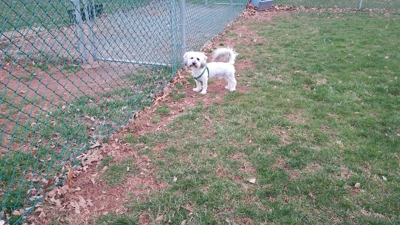 Montgomery Dog Park - Belle Mead, NJ