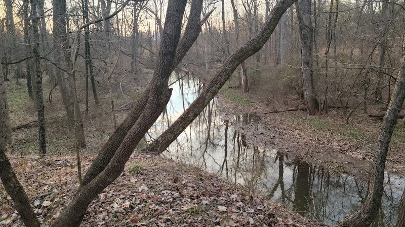Montgomery Dog Park - Belle Mead, NJ