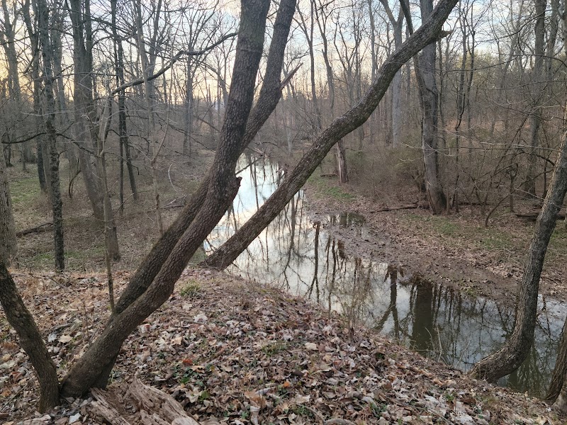 Montgomery Dog Park - Belle Mead, NJ