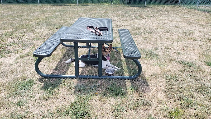 Montgomery Dog Park - Belle Mead, NJ