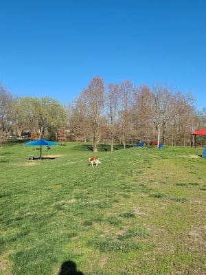 Rotary Dog Park (Member Only) - Belleville, IL
