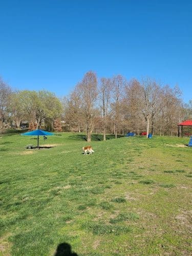 Rotary Dog Park (Member Only) - Belleville, IL