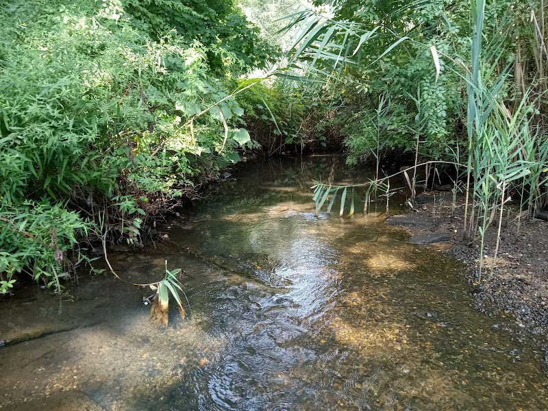 Meroke Preserve - Bellmore, NY