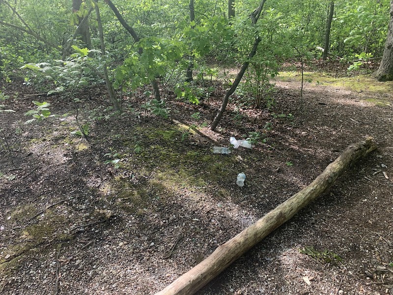 Meroke Preserve - Bellmore, NY