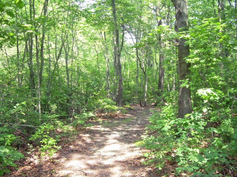 Meroke Preserve - Bellmore, NY