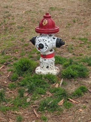 Benson Dog Park