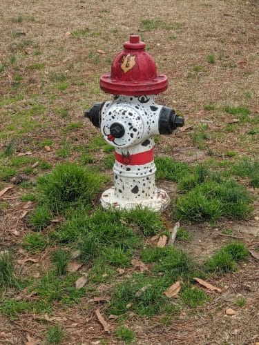 Benson Dog Park